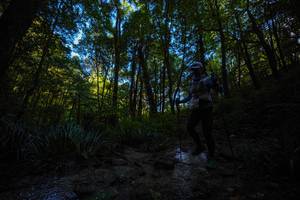 BIB: 
                            <button type="button" onclick="openModal(19231824)" class="btn btn-primary btn-sm float-right btn-popup" data-toggle="modal" data-target=".modal-high-quality">
                        <i class="fas fa-shopping-cart"></i> Add to Cart
                    </button>
                                            <button type="button" onclick="isThisMe(19231824, true)" class="btn btn-success btn-sm float-right btn-popup btn-isme hidden" data-toggle="tooltip" data-placement="bottom" title="นี่คือรูปของคุณใช่ไหม คลิกที่นี่เพื่อเอาเข้าอัลบั้ม">
                        <i class="fas fa-plus"></i> Add to album
                    </button>
                    <button type="button" onclick="isThisMe(19231824, false)" class="btn btn-warning btn-sm float-right btn-popup btn-isnotme hidden">
                        <i class="fas fa-ban"></i> Remove from album
                    </button>